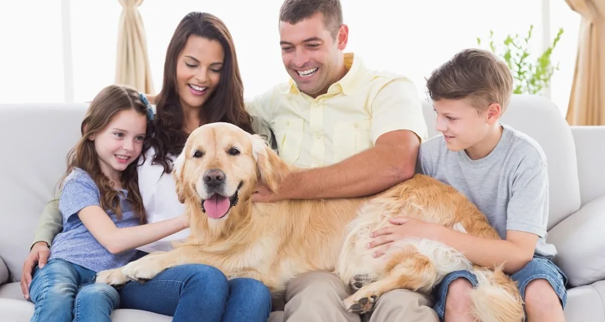 Whole Family Dentist in Mill Valley | Spring Cleaning for Families